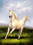 unknow artist Horses 021 oil painting picture wholesale